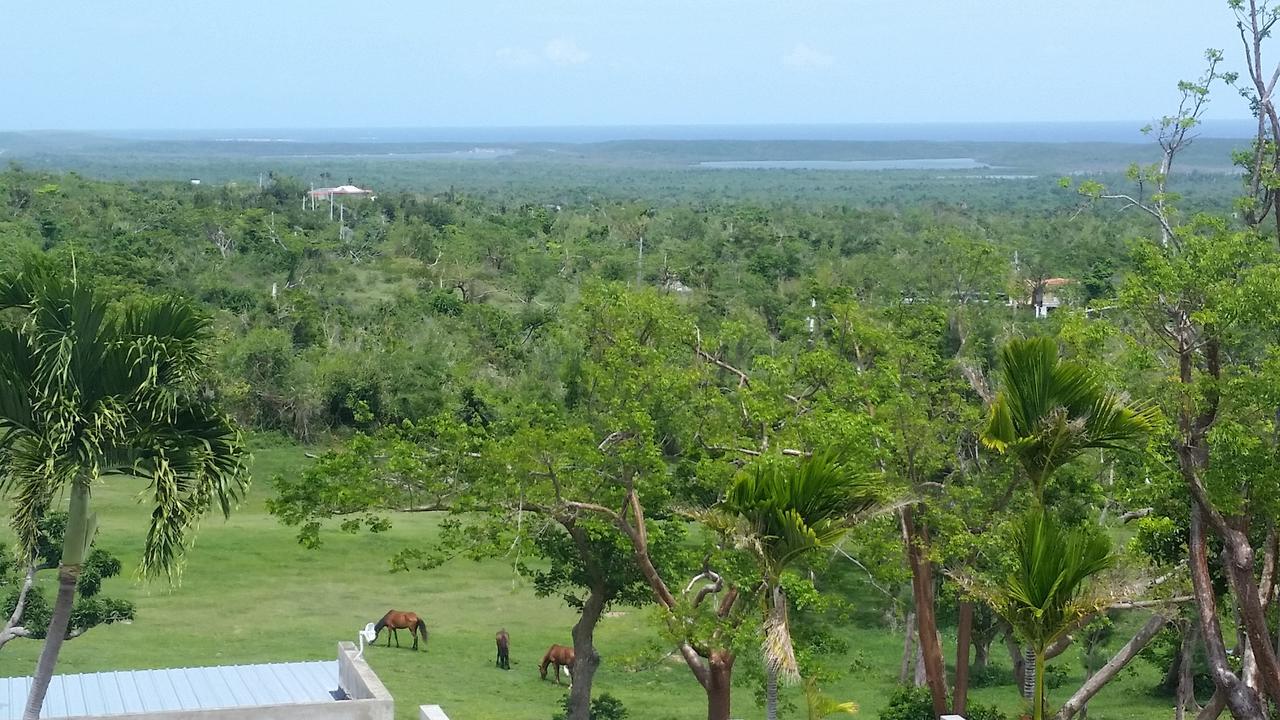 Hix Island House Hotel Vieques Bagian luar foto