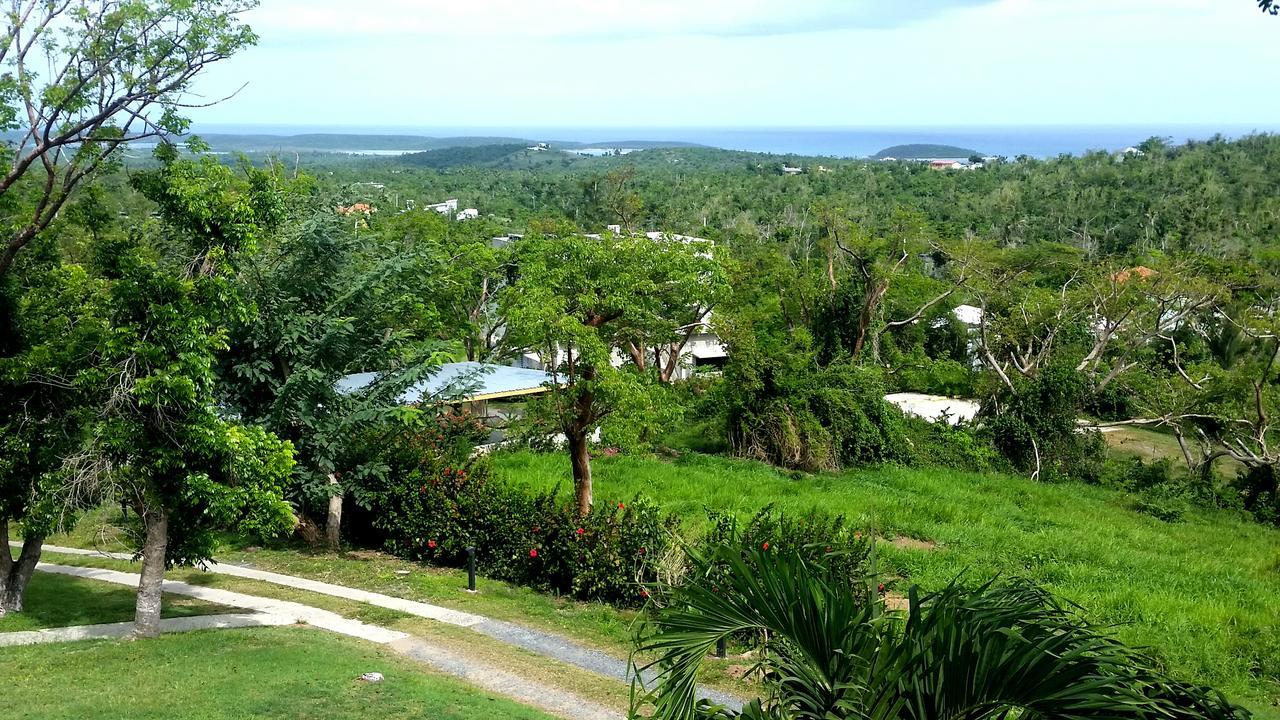 Hix Island House Hotel Vieques Bagian luar foto