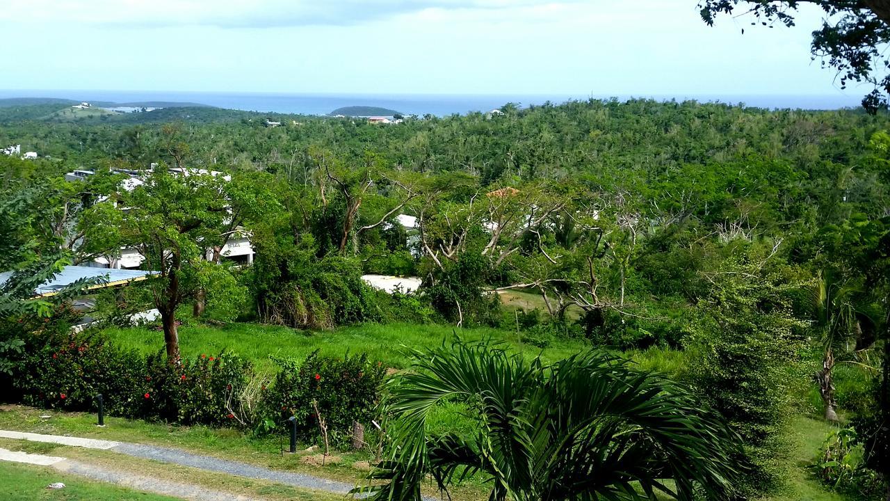 Hix Island House Hotel Vieques Bagian luar foto