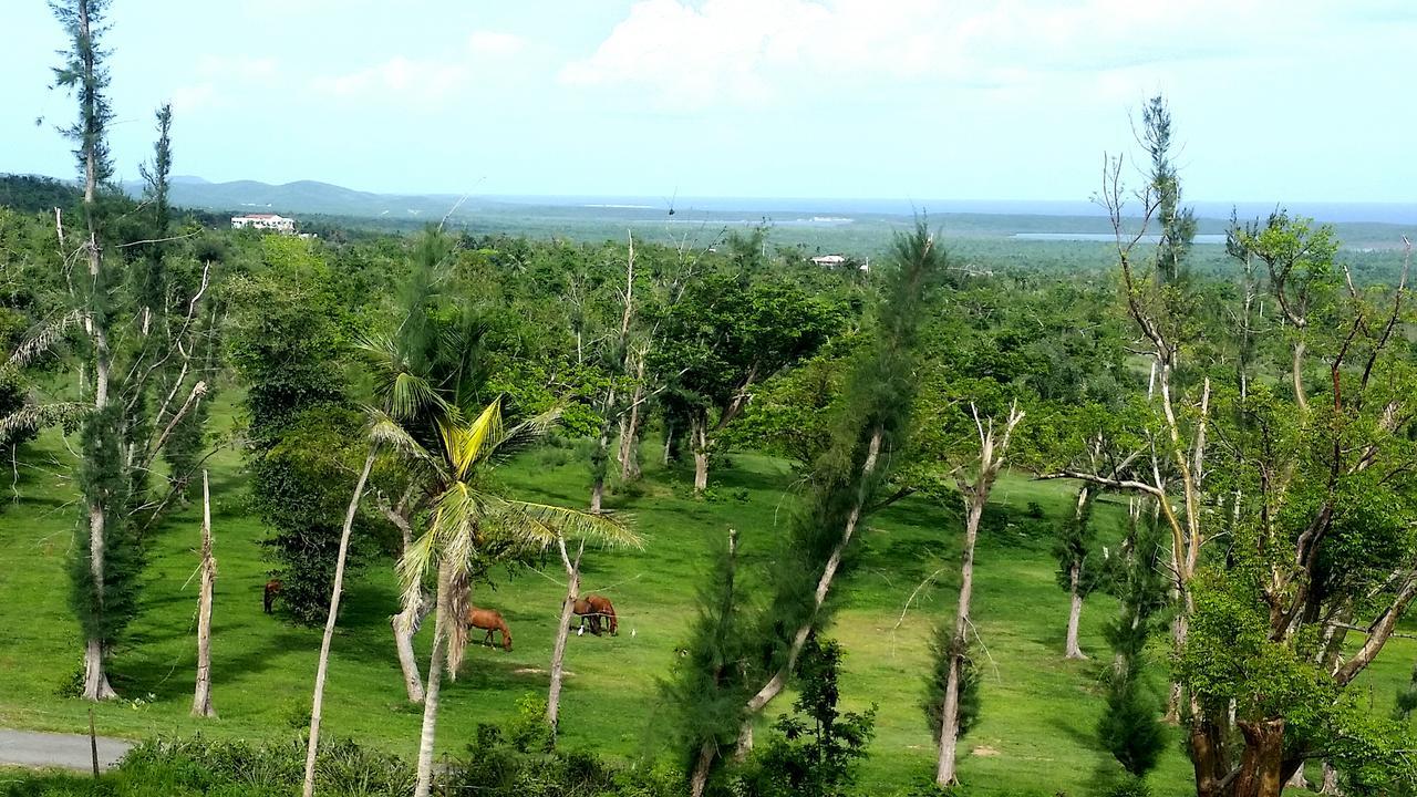 Hix Island House Hotel Vieques Bagian luar foto